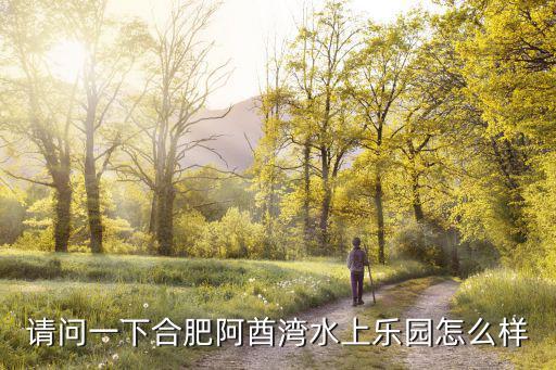 請問一下合肥阿酋灣水上樂園怎么樣