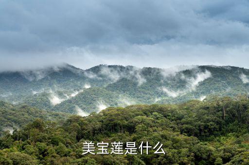 美寶蓮是哪國(guó)的牌子，美寶蓮品牌主打是什么