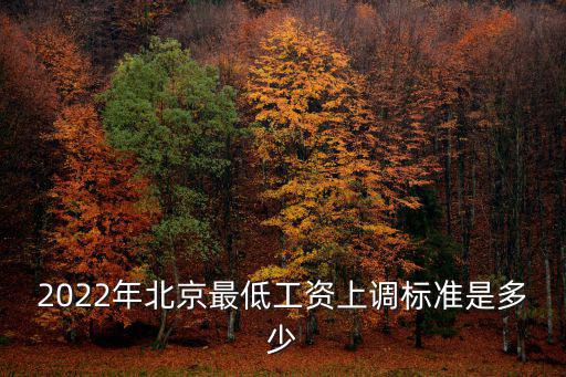 2022年北京最低工資上調標準是多少