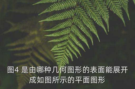 圖4，圖4 是由哪種幾何圖形的表面能展開成如圖所示的平面圖形
