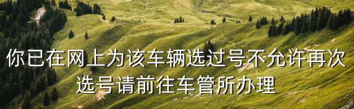 你已在網上為該車輛選過號不允許再次選號請前往車管所辦理