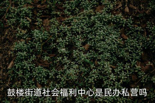 鼓樓街道社會福利中心是民辦私營嗎