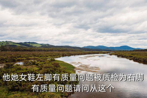 他她女鞋左腳有質量問題被質檢為右腳有質量問題請問從這個