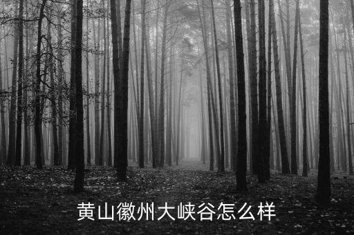 黃山徽州大峽谷怎么樣