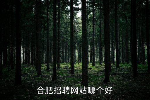 合肥市人才網，合肥人才市場