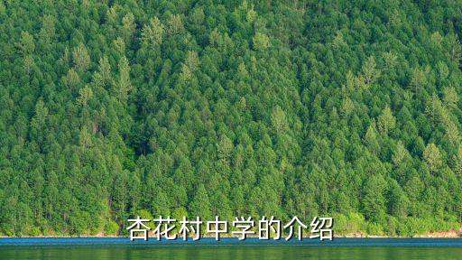 杏花村中學的介紹