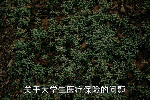 關于大學生醫療保險的問題