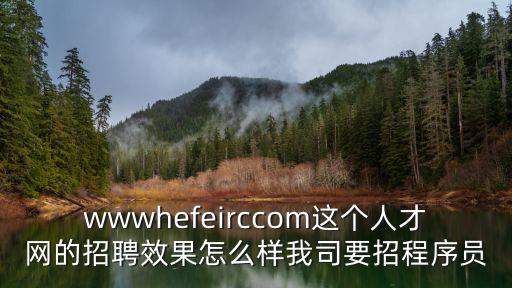 wwwhefeirccom這個人才網的招聘效果怎么樣我司要招程序員