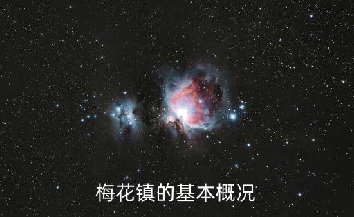 梅花鎮，梅花鎮的介紹