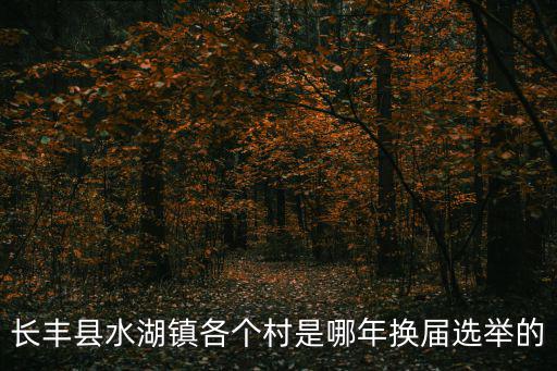 長豐縣水湖鎮各個村是哪年換屆選舉的