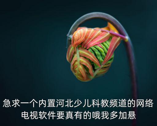 急求一個內置河北少兒科教頻道的網絡電視軟件要真有的哦我多加懸