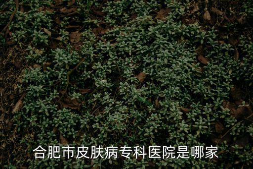 合肥市皮膚病專科醫院是哪家
