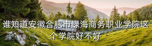 誰(shuí)知道安徽合肥市綠海商務(wù)職業(yè)學(xué)院這個(gè)學(xué)院好不好