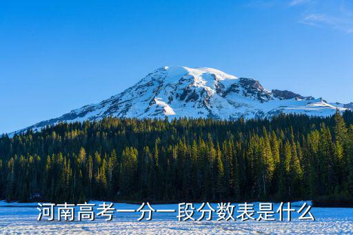 2021一分一段表，河南高考一分一段分?jǐn)?shù)表是什么
