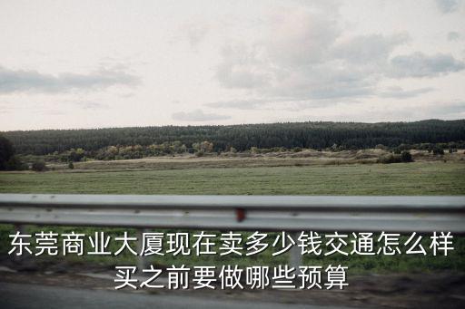 東莞商業(yè)大廈現(xiàn)在賣多少錢交通怎么樣買之前要做哪些預(yù)算