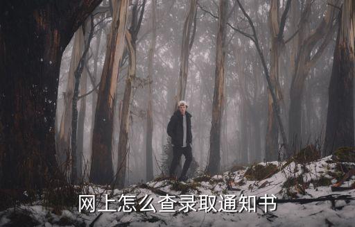 網上怎么查錄取通知書