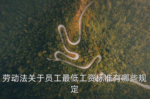 勞動法關于員工最低工資標準有哪些規定