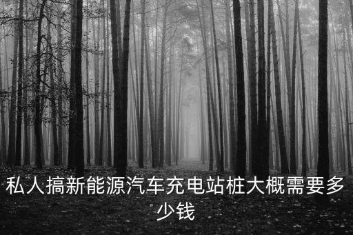 私人搞新能源汽車充電站樁大概需要多少錢