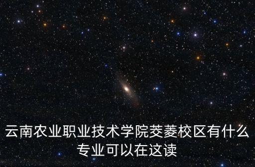 云南農業職業技術學院茭菱校區有什么專業可以在這讀