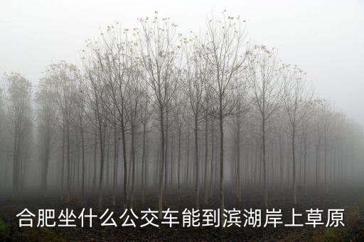 岸上草原，岸上草原什么季節去最好