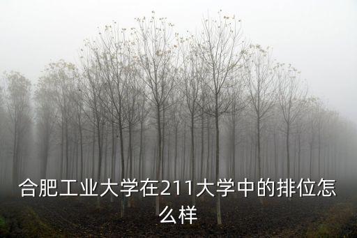 合肥工業(yè)大學(xué)在211大學(xué)中的排位怎么樣