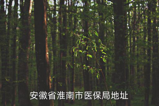 安徽省淮南市醫保局地址