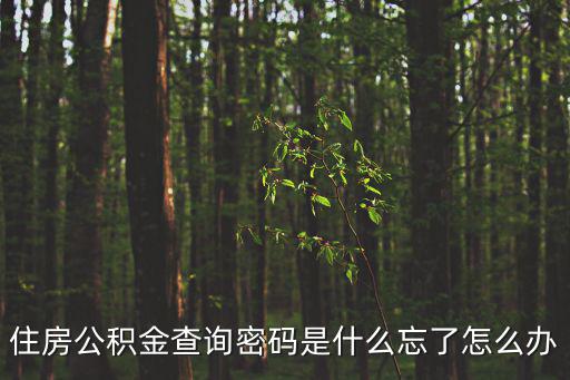 住房公積金查詢密碼是什么忘了怎么辦