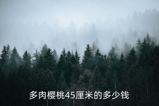 多肉櫻桃45厘米的多少錢