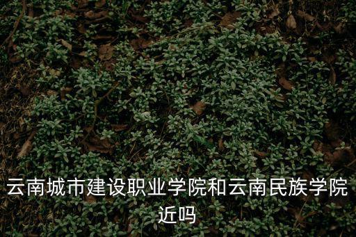 云南城市建設職業學院和云南民族學院近嗎