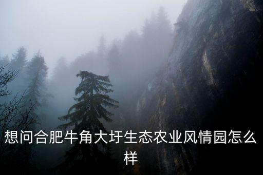合肥牛角大圩，合肥市里怎么去牛角大圩有公交嗎
