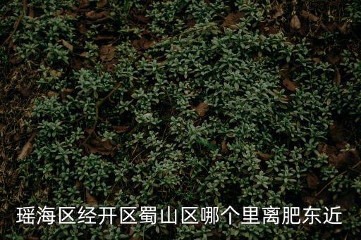 合肥市瑤海區(qū)，瑤海區(qū)在合肥市什么位置