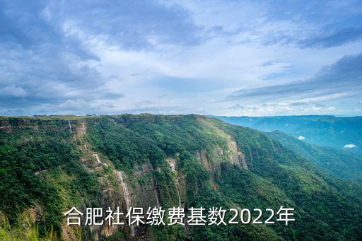 合肥社保基數，合肥社保繳費基數2022年