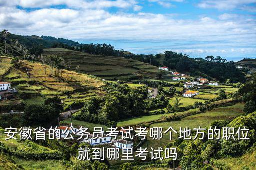 安徽省的公務員考試考哪個地方的職位就到哪里考試嗎