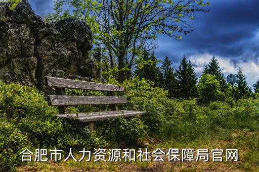 合肥市人力資源和社會保障局官網