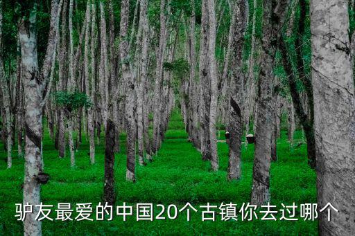 驢友最愛的中國20個古鎮你去過哪個