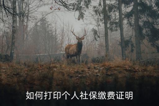 個人社保參保證明，如何打印個人社保繳費證明
