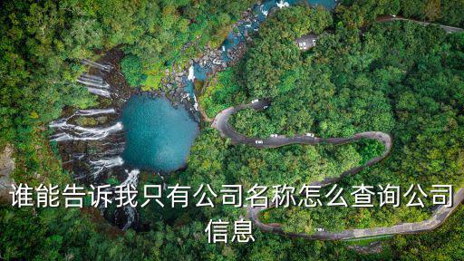 誰能告訴我只有公司名稱怎么查詢公司信息