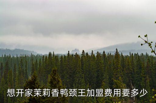 想開家茉莉香鴨頸王加盟費用要多少