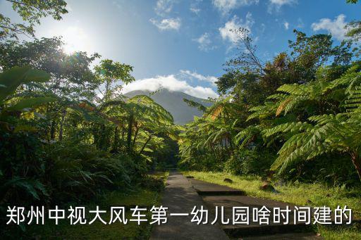 鄭州中視大風車第一幼兒園啥時間建的