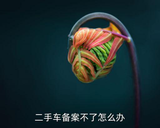 二手車備案不了怎么辦