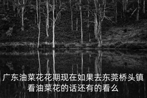 廣東油菜花花期現在如果去東莞橋頭鎮看油菜花的話還有的看么