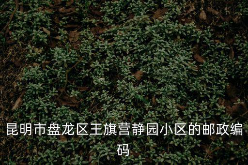 昆明市盤龍區(qū)王旗營靜園小區(qū)的郵政編碼