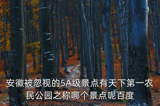 安徽被忽視的5A級景點(diǎn)有天下第一農(nóng)民公園之稱哪個景點(diǎn)呢百度