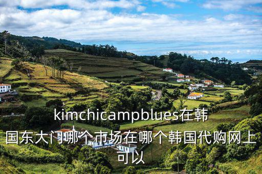 kimchi，翻譯for many koreanskimchi is a food that they ca