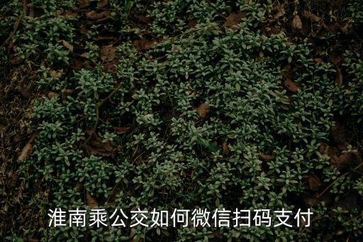 淮南乘公交如何微信掃碼支付