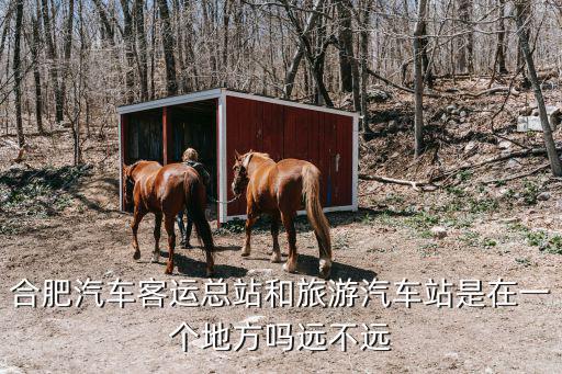 合肥汽車客運總站和旅游汽車站是在一個地方嗎遠不遠