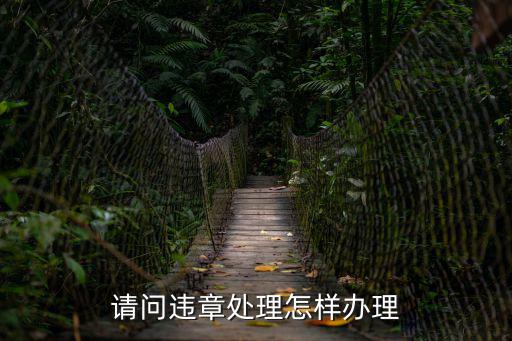 違章處理，請問違章處理怎樣辦理