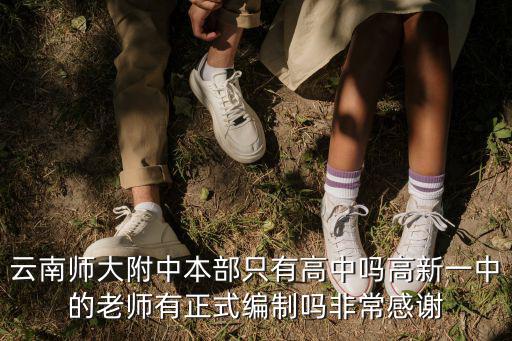 云南師大附中本部只有高中嗎高新一中的老師有正式編制嗎非常感謝