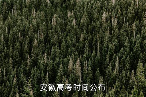 安徽高考時間公布