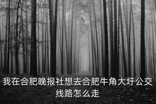 我在合肥晚報社想去合肥牛角大圩公交線路怎么走